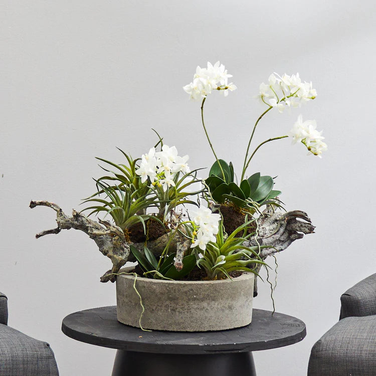 Orchid & Succulent Garden w/Driftwood & Decorative
Vase