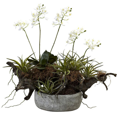 Orchid & Succulent Garden w/Driftwood & Decorative
Vase