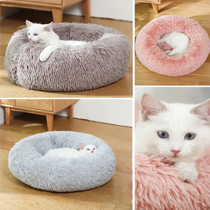 Jumbo Dog Bed