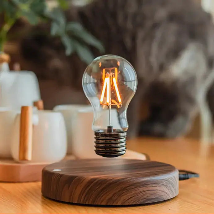 Edison Levitation Lamp