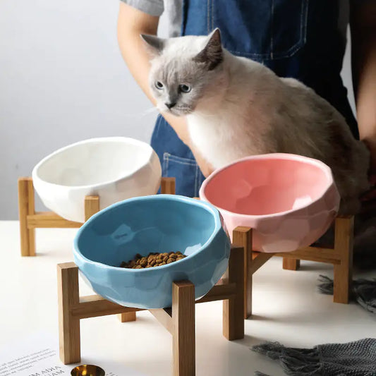 Abstract Pet Bowl