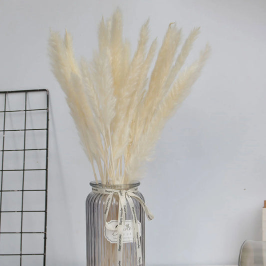 Natural Dried Pampas Grass Decor