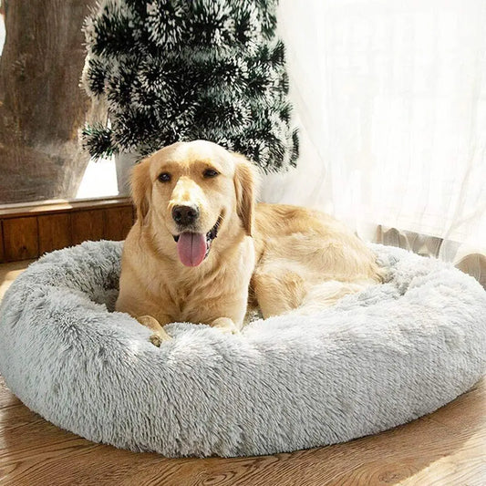 Jumbo Dog Bed