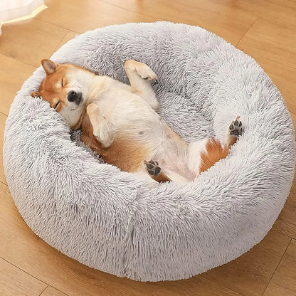 Jumbo Dog Bed