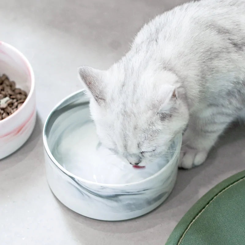 Marble Pet Bowl Set