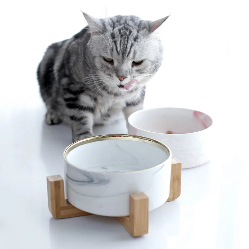 Marble Pet Bowl Set